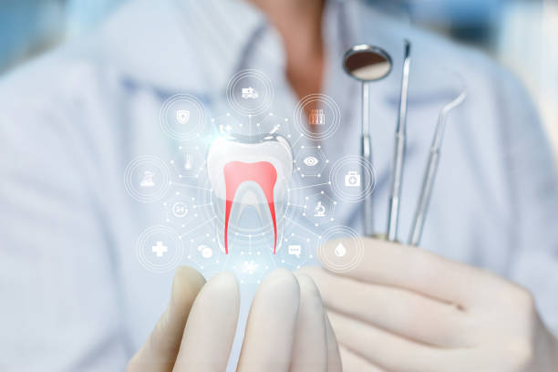 Professional  Holistic Dental Services in Bangor, ME
